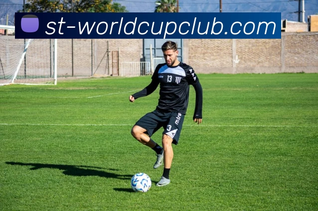 体育赛事信息平台生态图